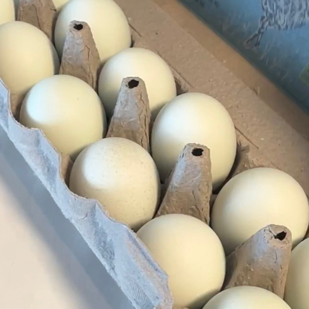 HomeEc Hacks Food Expiration Date Explained Lorafied