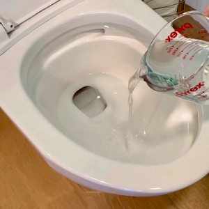How to Remove Toilet bowl Rings - LORAFIED