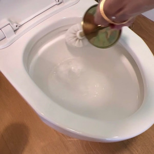 How to Remove Toilet bowl Rings - LORAFIED