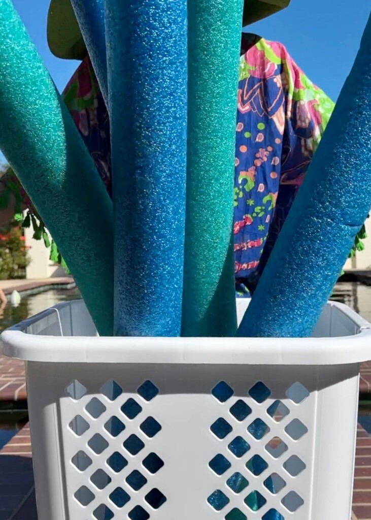 4 Genius Pool Hacks Lorafied